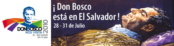 bannervisitaelsalv