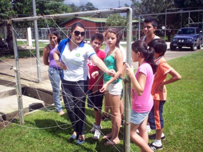 El juego de la telaraña. 