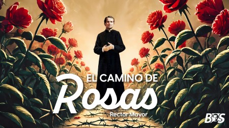 Rector Mayor