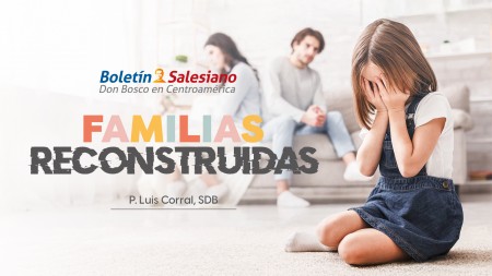 Familias reconstruidas