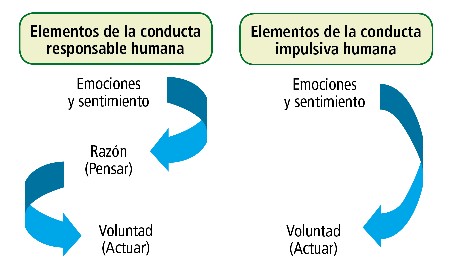 Educar como DB ilustracion