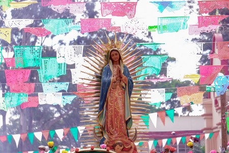 La Guadalupana 2019.- 