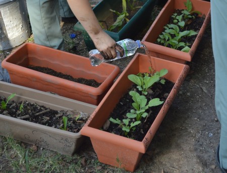 Estudiantes de Ciudadela Don Bosco participan en la reforestación de las áreas verdes del oratorio, fomentando la conciencia ambiental y el cuidado de la casa común.