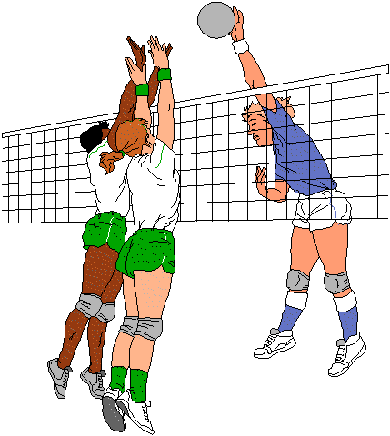 voleibol