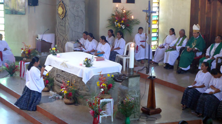 Profesión perpetua.