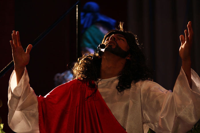 ESA viacrucis chaleco