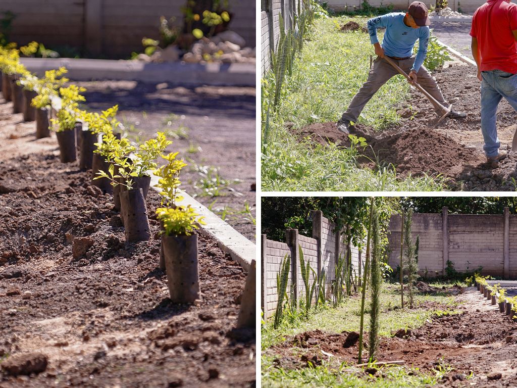 Siembra de plantas ornamentales en el área ampliada del parqueo de la Parroquia El Espíritu Santo, en sintonía con Laudato Sí.