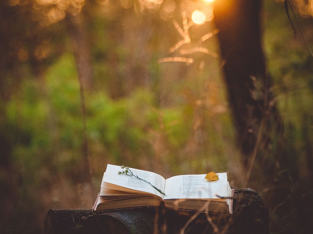 La Poesía salvará almas…